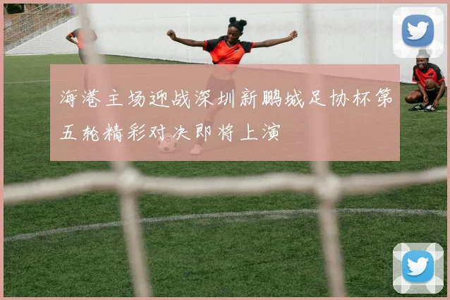 海港主场迎战深圳新鹏城足协杯第五轮精彩对决即将上演