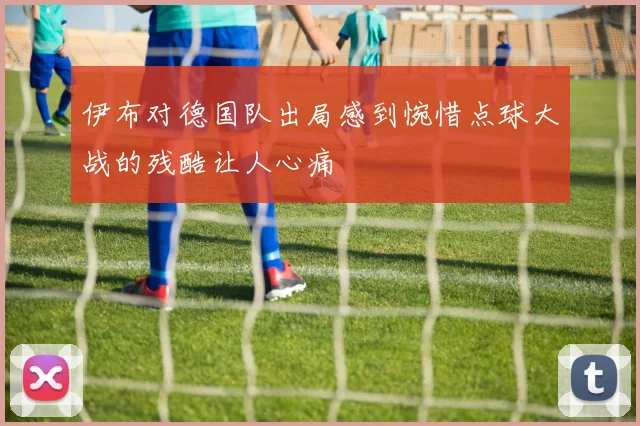 伊布对德国队出局感到惋惜点球大战的残酷让人心痛